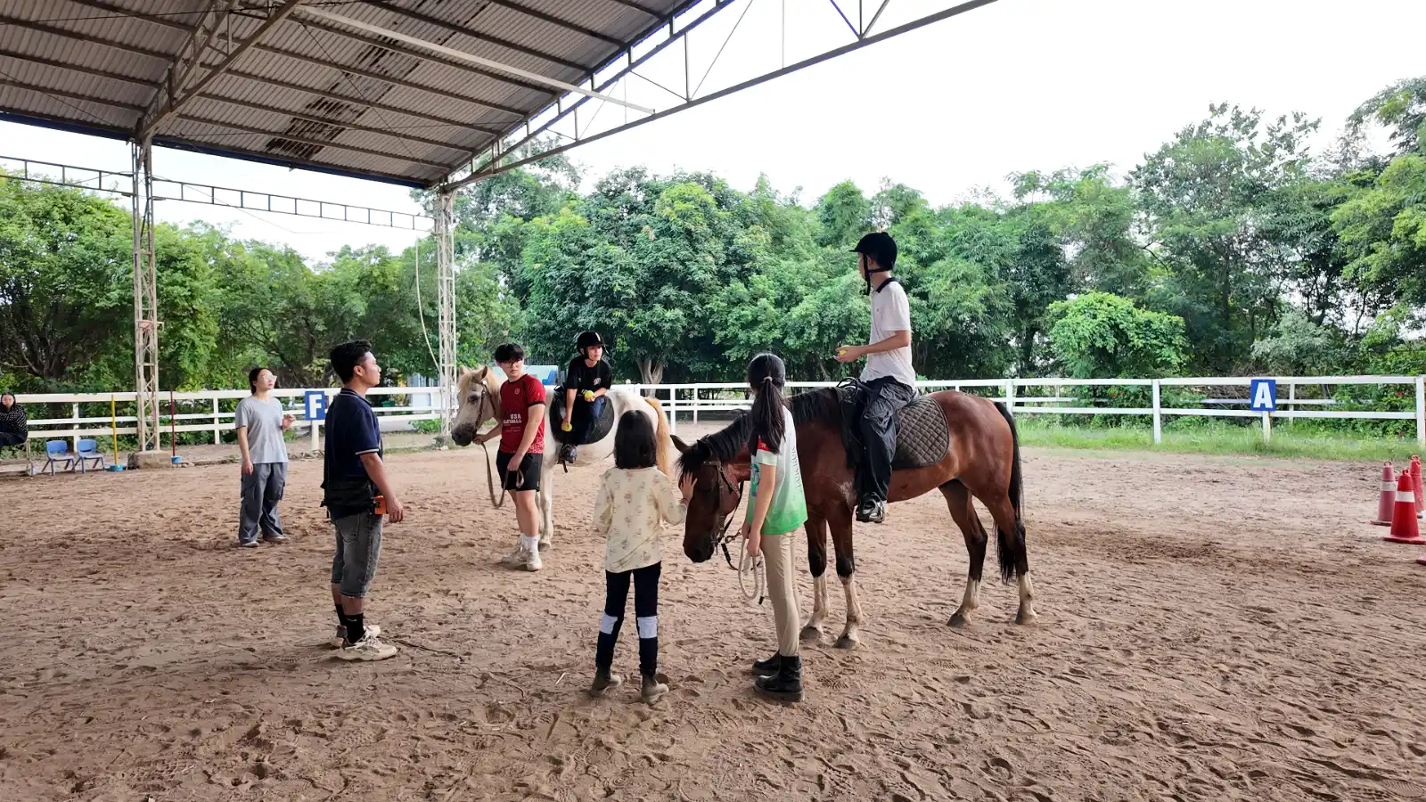Các Buổi Trị Liệu