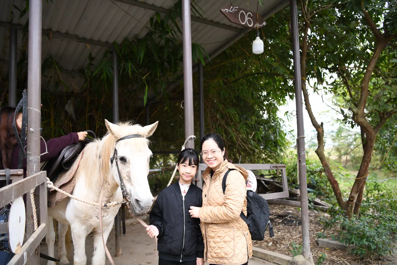 Horse Therapy Vietnam