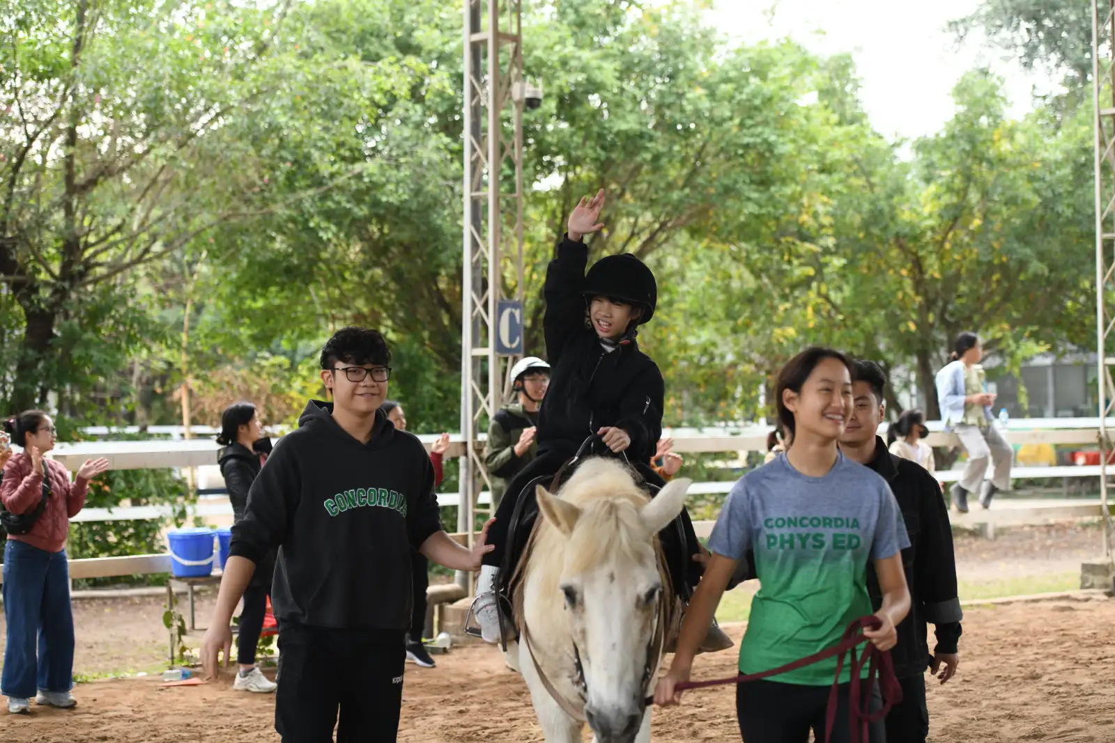 Các Buổi Trị Liệu