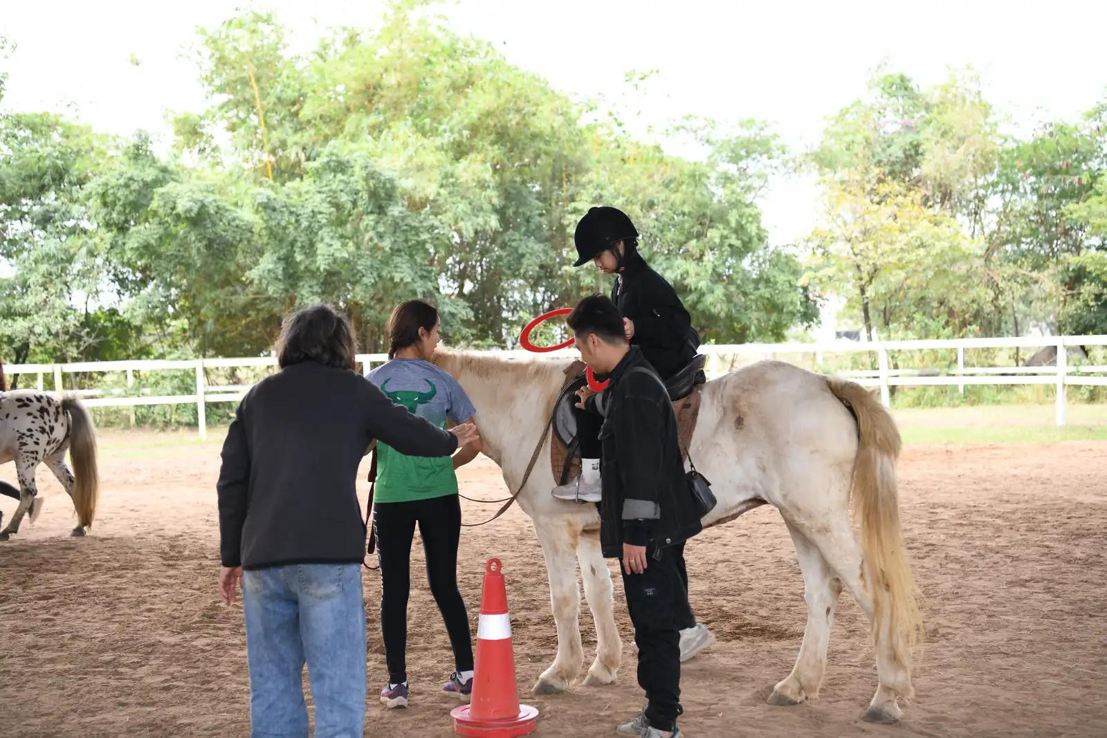 Horse Therapy Vietnam